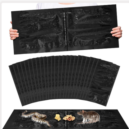 Super Sticky Mouse Trap Pad